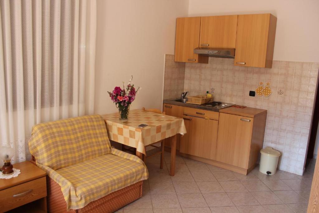 Apartments Manuel Novigrad Istria Εξωτερικό φωτογραφία